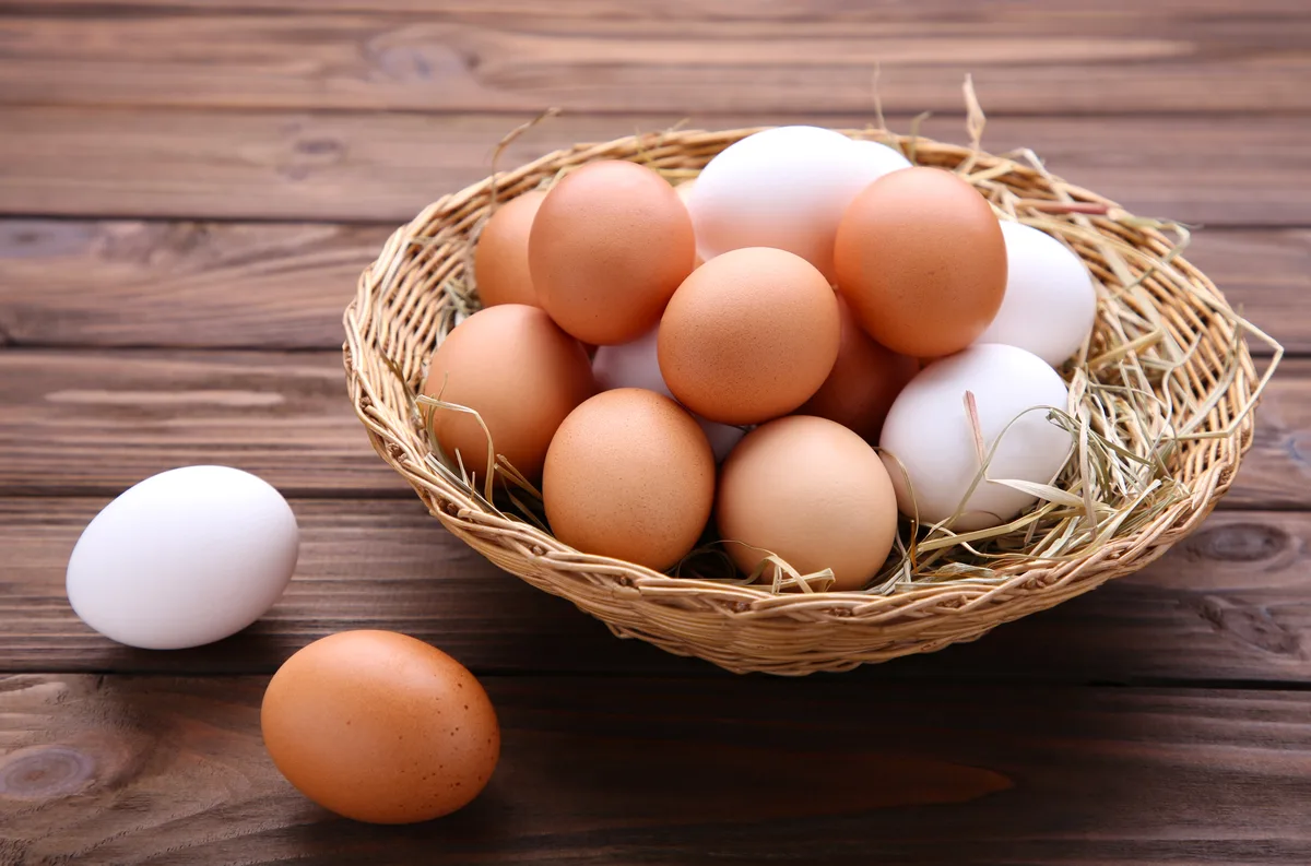 Egg & Egg Products